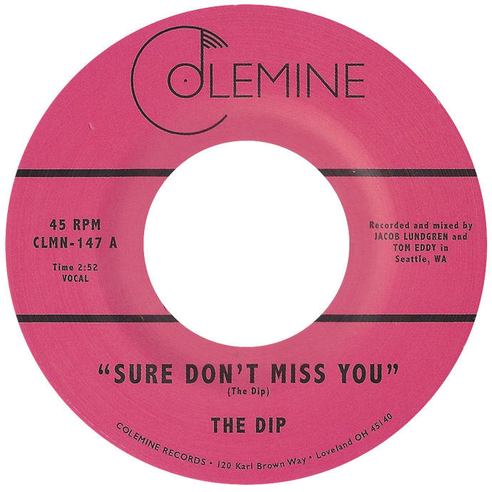 The Dip - Sure Don't Miss You - Colemine 147